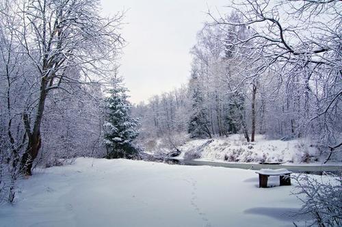 12.房子被雪覆盖着，洁白，松软。树木被雪覆盖着，雪使树枝弯曲了。太阳在百雪山上闪耀着耀眼的光芒。