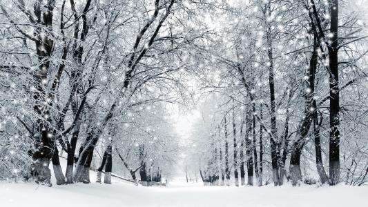 11.冬天下雪了，地面是白色的，好像被厚厚的被子盖着。我和小明，小刚，小华在郊外见过面。我们一致说：“哇！这里的雪真漂亮！”树木覆盖着银色的衣服，房屋也是厚厚的帽子。于是我们开始互相玩耍，我开始堆雪人，小明忙着打雪仗，小刚和小华在打雪仗，我们玩得很开心！