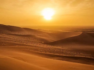 描写沙漠的诗