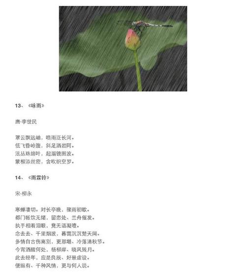 雨的古诗