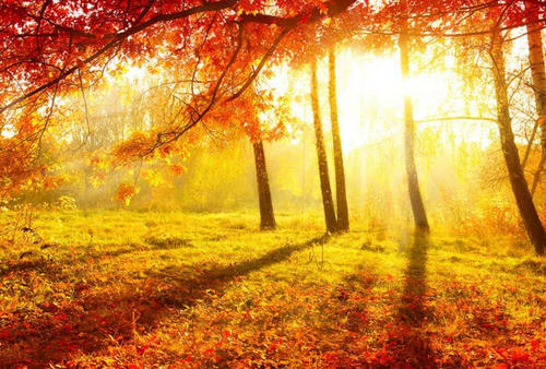 关于秋天写风景的诗