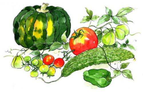 英语谚语蔬菜和水果