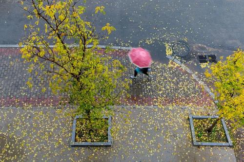 秋雨的隐喻