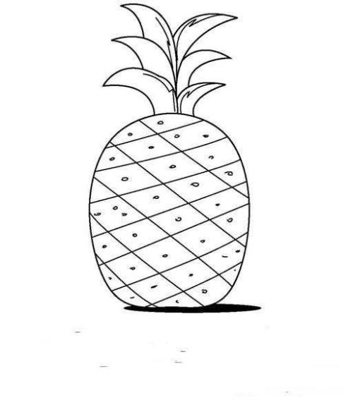 关于菠萝的寓言