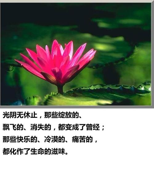 佛教古典禅诗