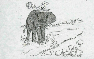 用大象写隐喻