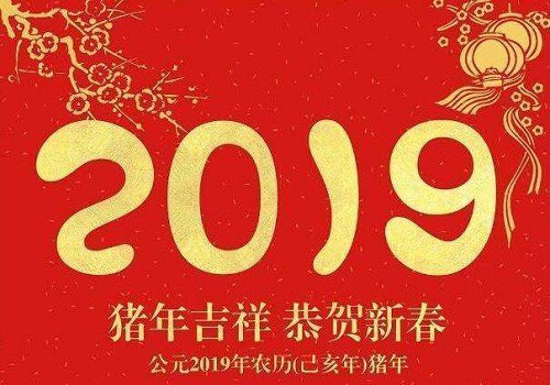 祝福2019年猪年春节。愿您年复一年好起来！