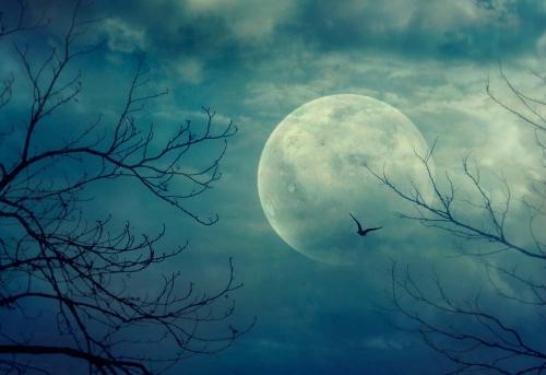 诗歌描述月亮