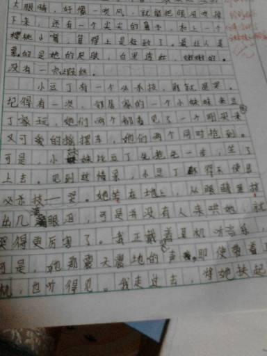 五年级中文第二册单元5作文