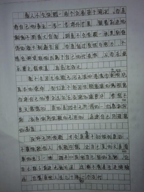 我的中文学习作文