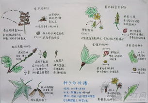 日记描述植物