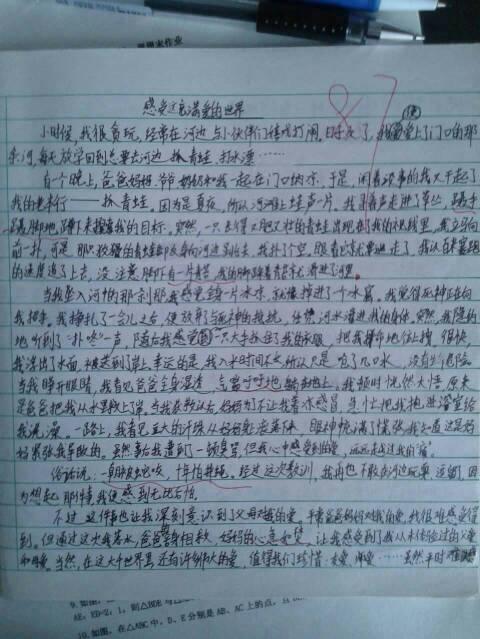 我的中文老师作文800字