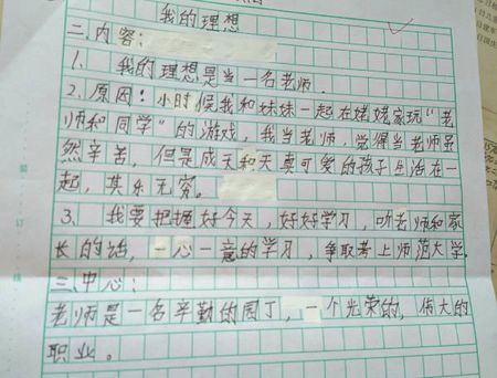 我的中文老师作文600字