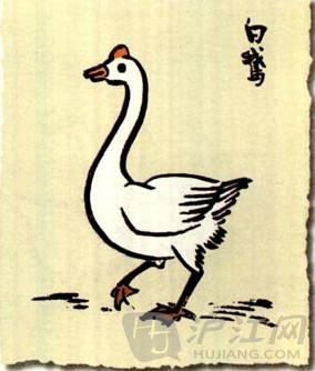 丰子kai的白鹅