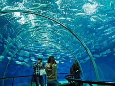 上海海洋水族馆组成