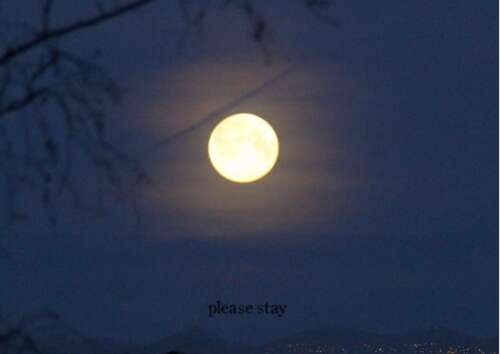 晚上看月亮的经典句子2