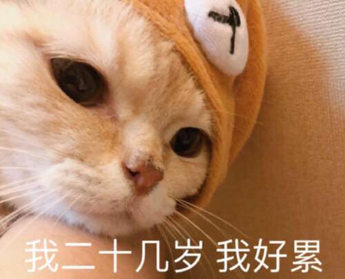 日本社会动物写的川柳诗：玩有毒舌头的生活2