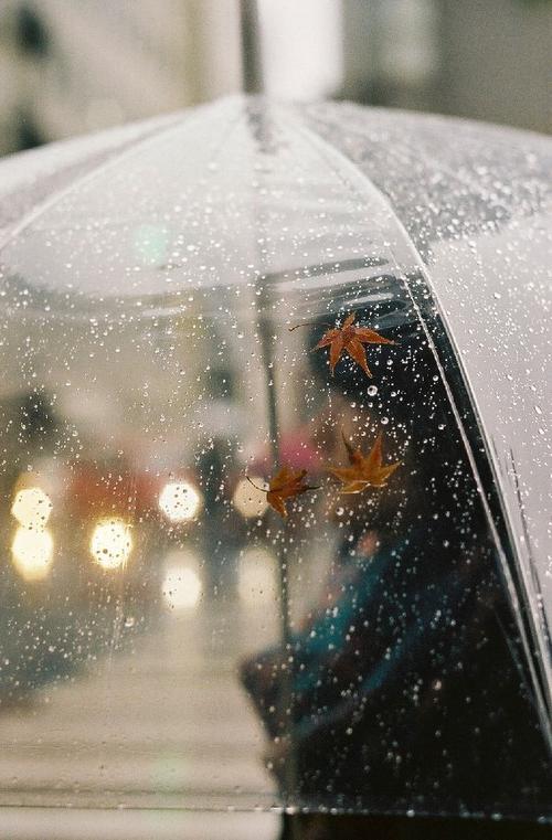 下雨天是一个美丽的诗歌