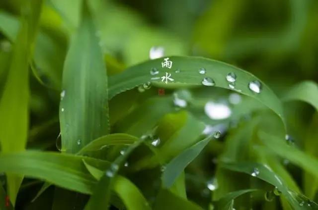 31，油门小：今天的雨。春雨，染色，溪流，新绿色。雨即将来临，春天将很远。