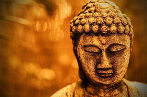 关于生活感知的著名佛教谚语
