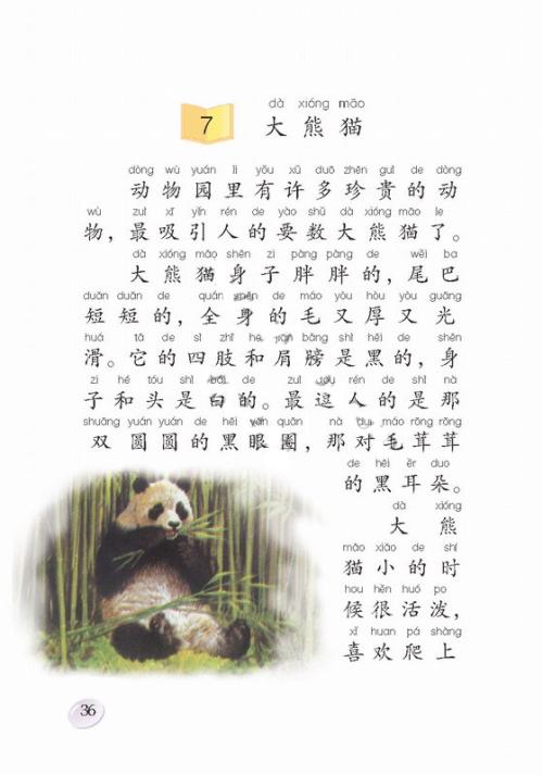 关于大熊猫
