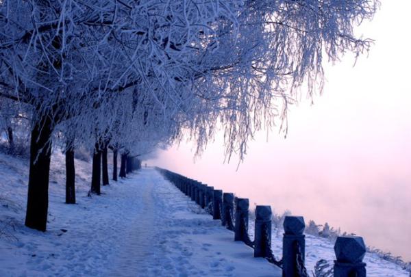 美丽的雪景是许多女孩梦a以求的浪漫景象