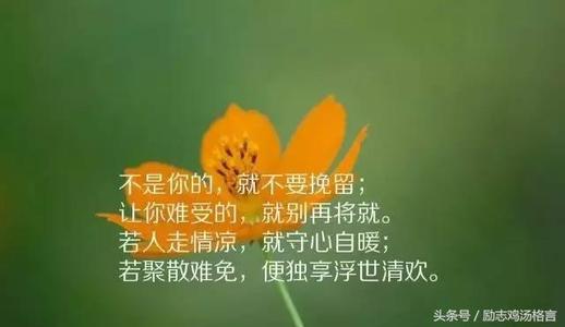 心情感悟的經典句子