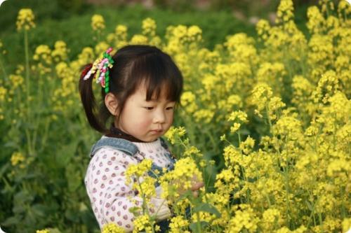 桂花的香气“我很香”