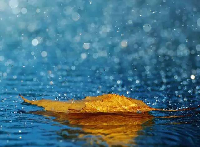 10.也许是因为秋天的雨，雨滴总是带着淡淡的悲伤。突然我感到非常想念，想念去年的秋雨，想念雨中的凄凉，想念冷酷的微笑。