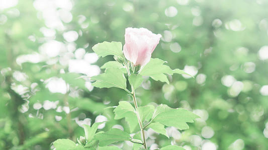 10.今天是世界儿童节，“童话王”发来贺电：祝您“孩子的健康”，“孩子的快乐”，“孩子般的心”，“孩子般的乐趣”，“孩子般的心永远”，“复兴” “！永远快乐！