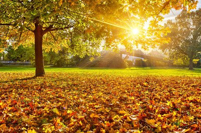 12.在秋天，气变得凉爽，并且有一个神奇的保健公式：早睡，早起保暖。提防紫外线，葡萄可以抵抗；饮食宜适量，并适当喝汤；合理进补，祝您永远健康。