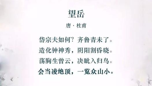 关于阅读的哲学语录