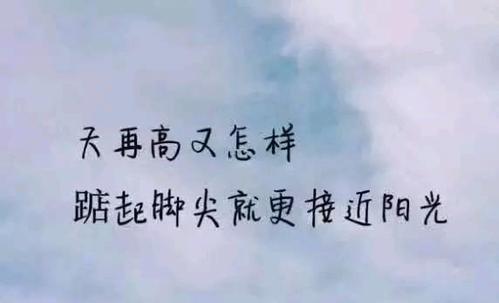 清新美丽的个性签名