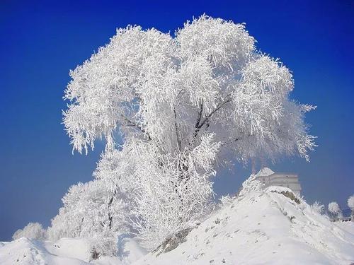 词描述冬天的美丽
