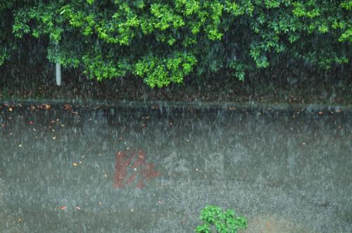 描绘雨景的片段