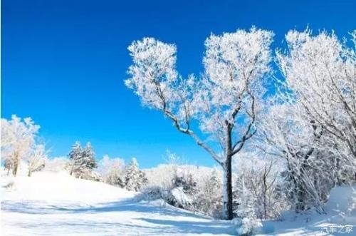 一个描述雪的好句子