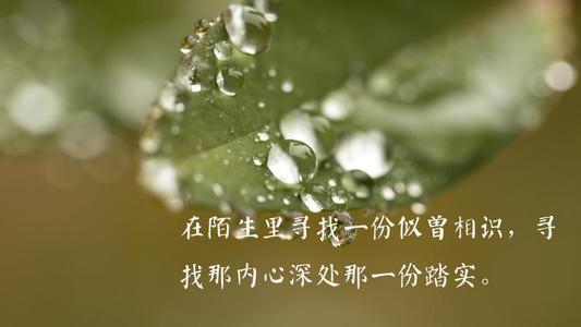 生活美丽的一句话