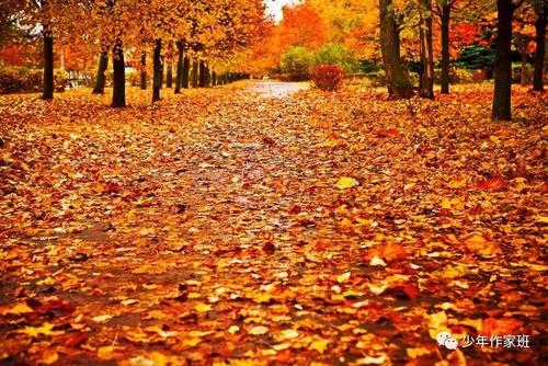 一句话描述秋天的美丽