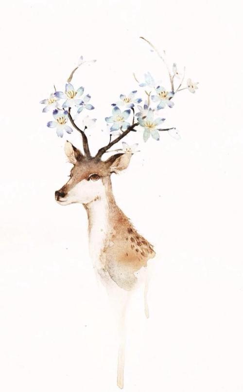 鹿的美感句子