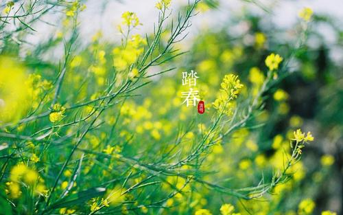 春分的24节气谚语