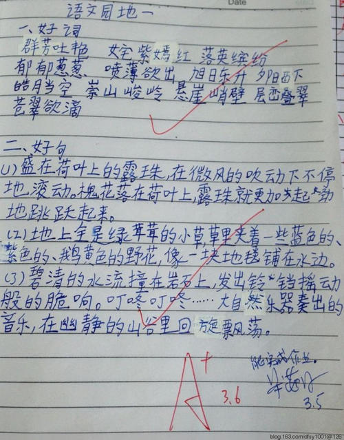 初级汉语中的好单词和句子