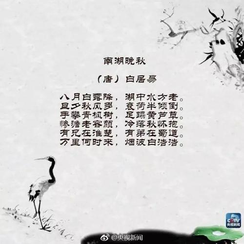 关于白鹿的谚语