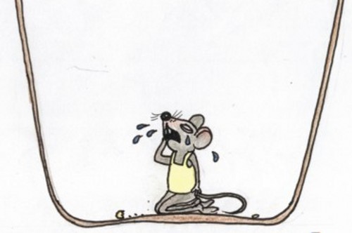 老鼠吃茶壶的寓言