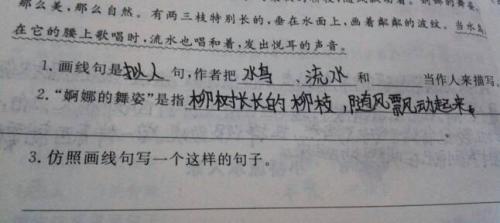 中国玫瑰写作拟人化的句子