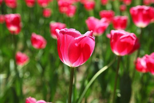 祝远方朋友的生日