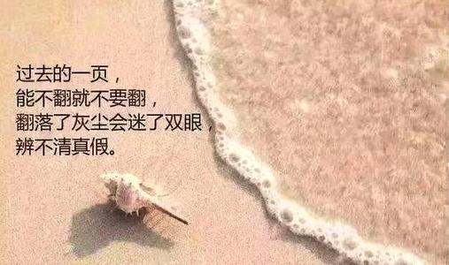 豆阴上的感人句子