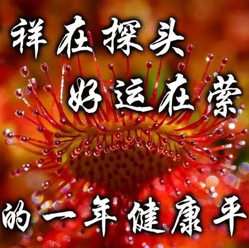 2019励志农历新年祝福