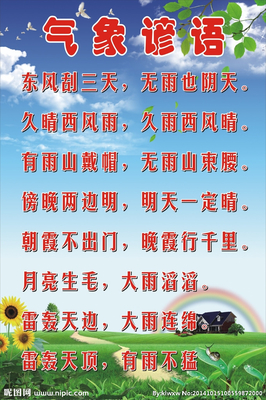 关于花的小学谚语