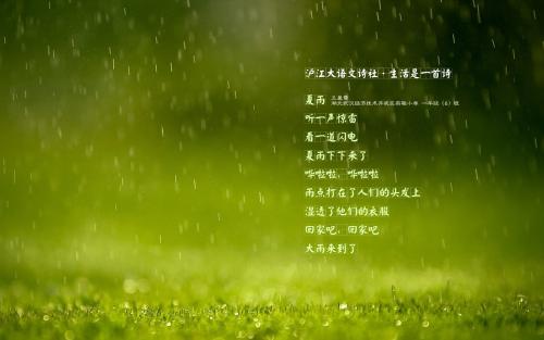 夏雨诗全集