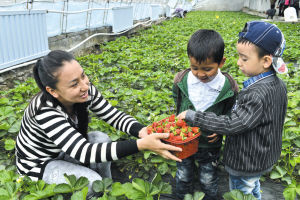 带孩子摘草莓的快乐句子带孩子摘草莓的句子